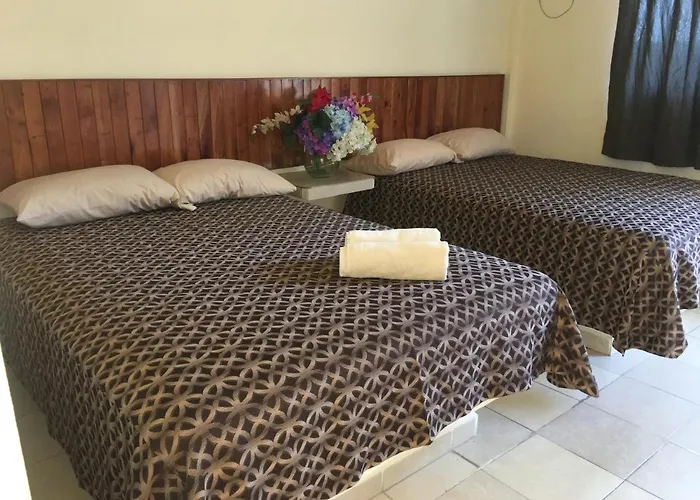 Hotel Puerto Alegre